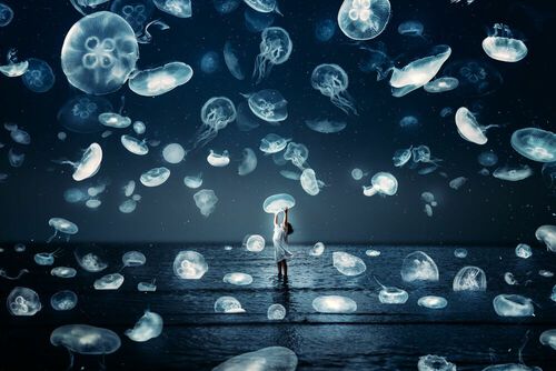 Enter a new dimension in which magic and candour merge...